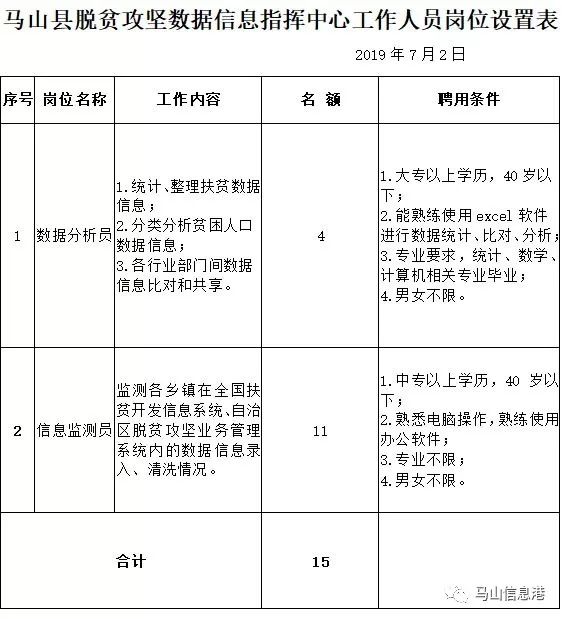 马山县统计局最新招聘启事概览