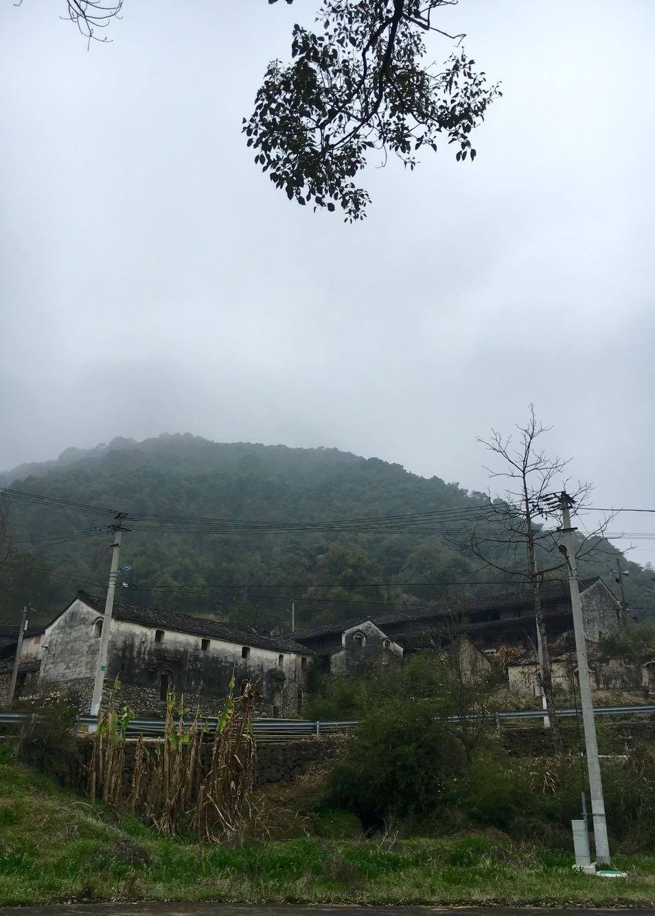 锦石乡天气预报更新通知