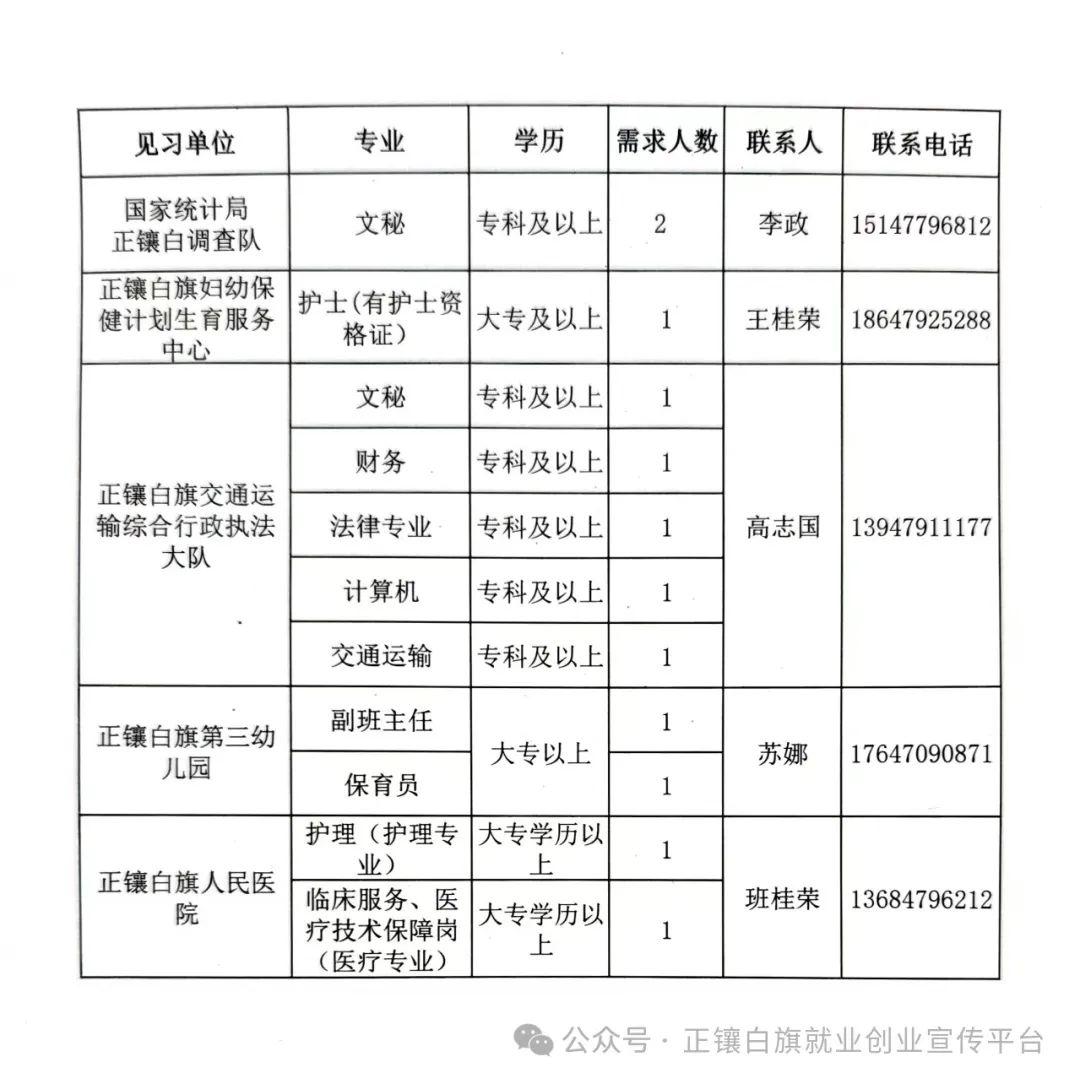 巴尔虎左旗统计局最新招聘资讯概览